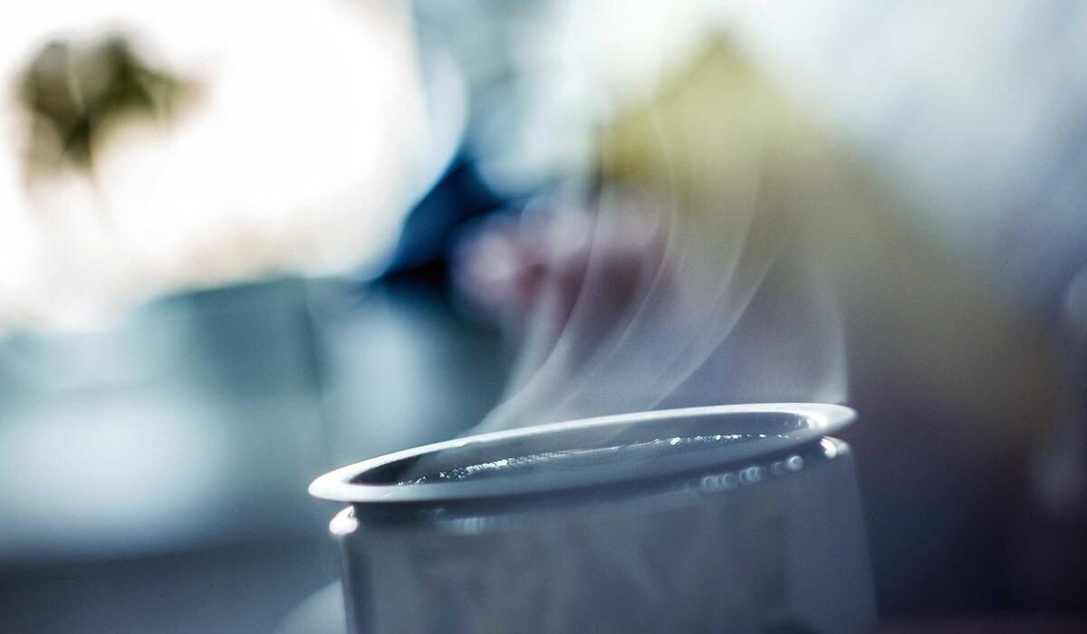 How to Get Rid of Creeping Charlie and Ground Ivy