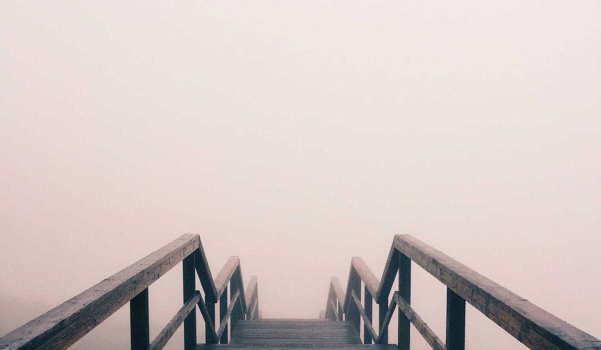 How to Grow a Food Forest with Nut Trees