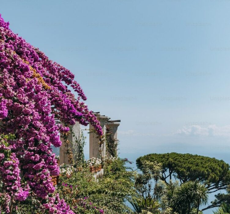 How to Grow and Train Wisteria: Taming a Beautiful Beast