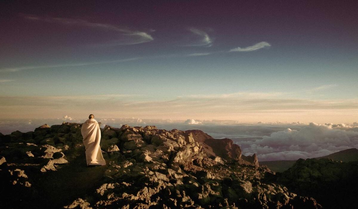 How to Grow Citrus Trees Indoors: Lemon, Lime, and Orange Guide