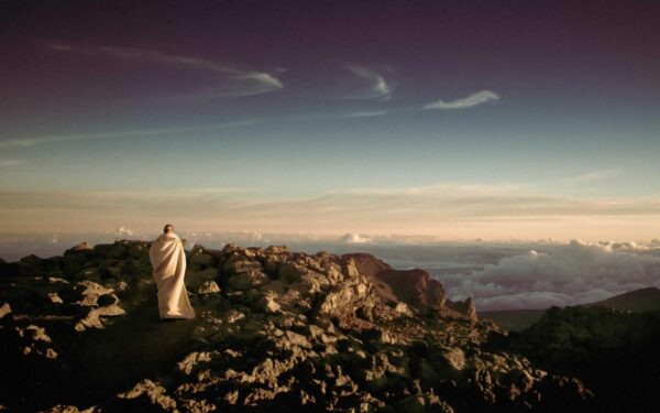 How to Grow Citrus Trees Indoors: Lemon, Lime, and Orange Guide