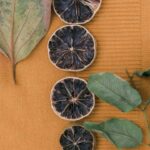 How to Grow Figs in Cold Climates: Winter Protection Guide