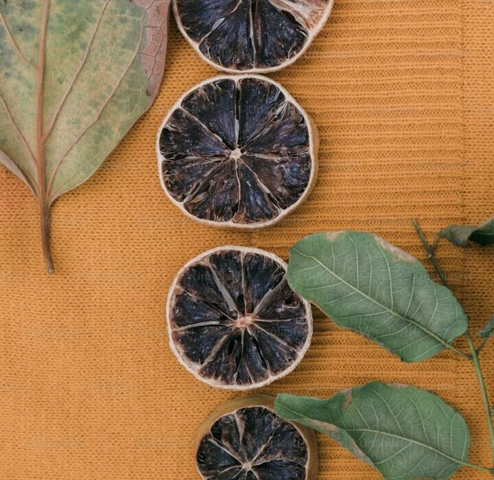 How to Grow Figs in Cold Climates: Winter Protection Guide
