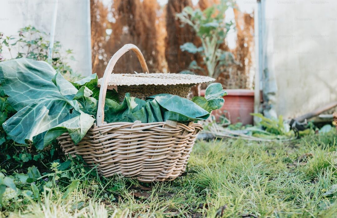 How to Grow Potatoes in Bags, Buckets, and Containers