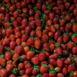 How to Grow Strawberries in Containers: Year-Round Berry Guide