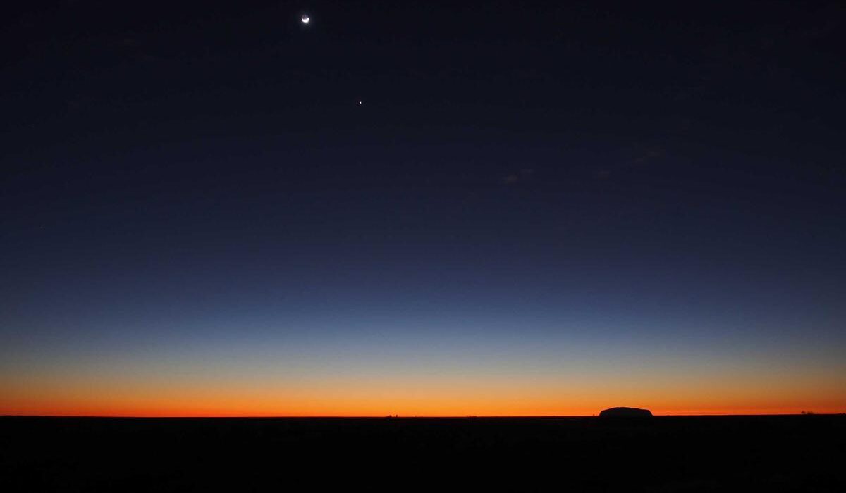 How to Grow Watermelons in Raised Beds: Space and Care Guide