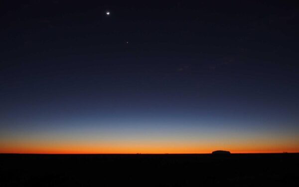 How to Grow Watermelons in Raised Beds: Space and Care Guide