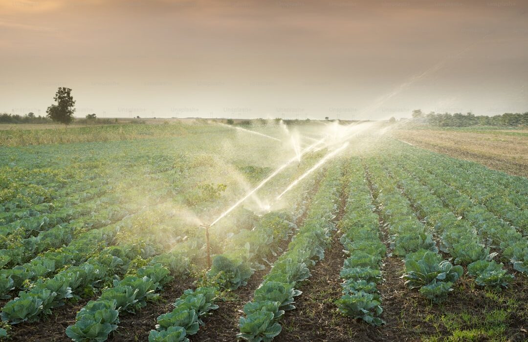 How to Make and Use Neem Oil Spray for Plants - gardening guide by Planters Realm