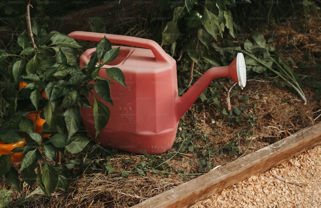 How to Make Compost Tea: Liquid Gold for Your Garden