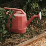 How to Make Compost Tea: Liquid Gold for Your Garden