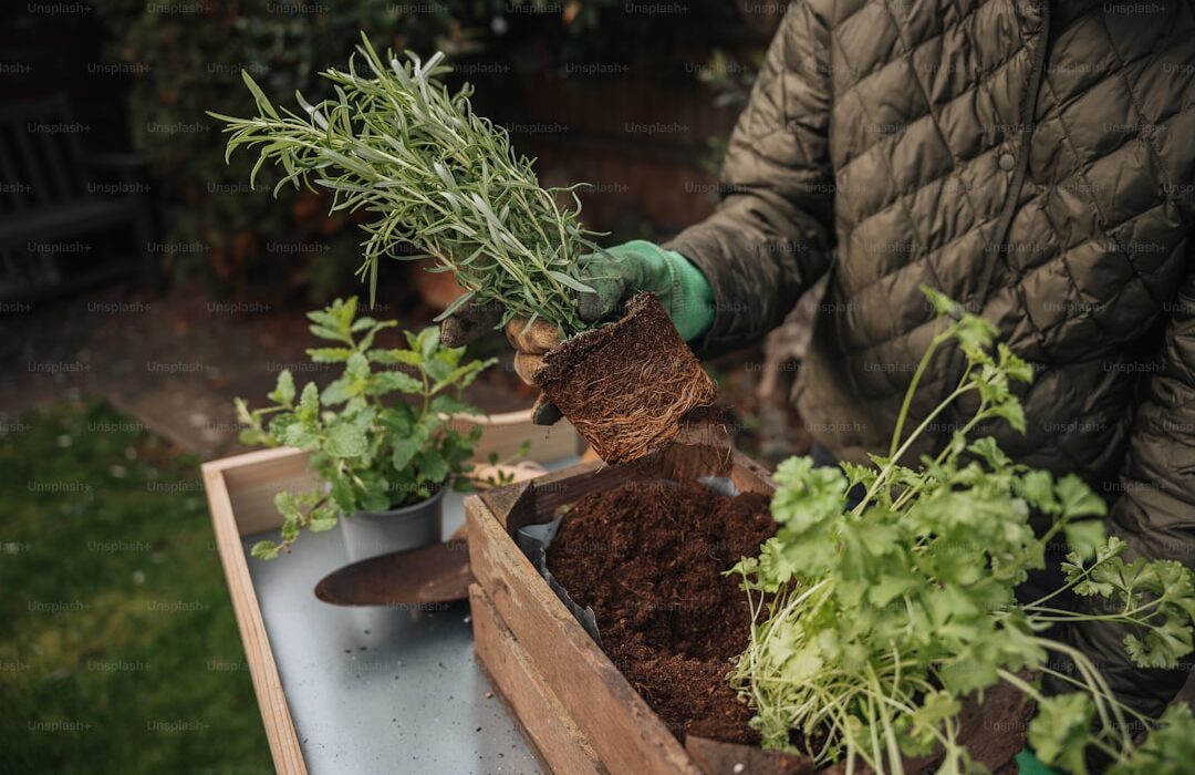 How to Make Raised Bed Garden Soil from Scratch
