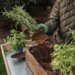How to Make Raised Bed Garden Soil from Scratch