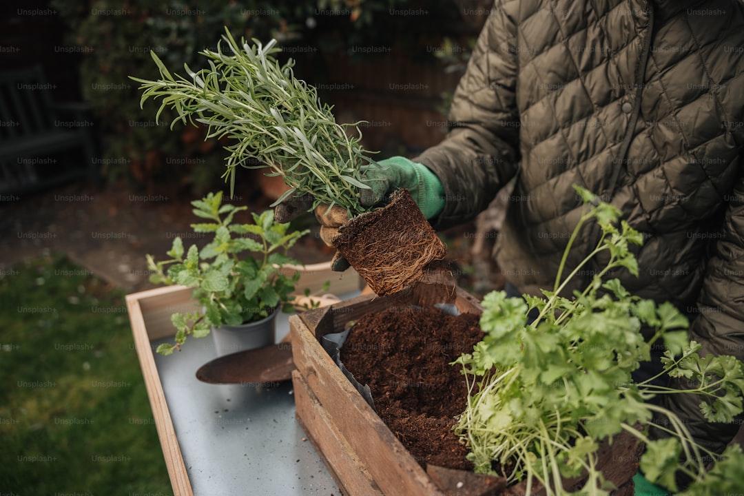How to Make Raised Bed Garden Soil from Scratch (2026) - Planters Realm