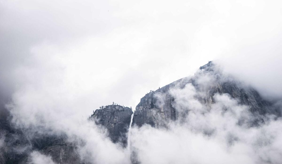 How to Mulch Around Trees Properly