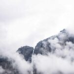 How to Mulch Around Trees Properly