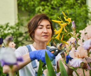 How to Naturalize Bulbs in Your Lawn and Garden