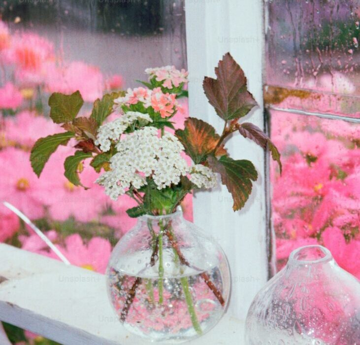 How to Plant, Grow, and Care for Caladiums