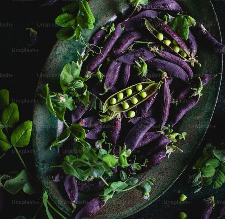 How to Plant, Grow, and Care for Eggplant