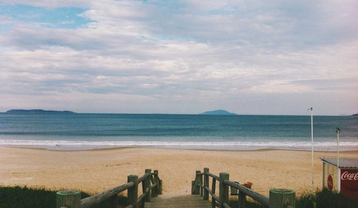 How to Plant, Grow, and Care for Ferns