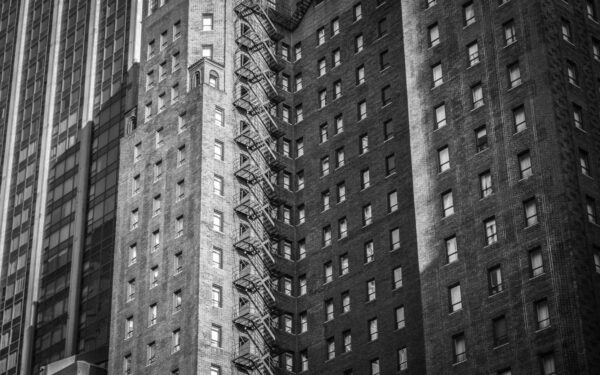 How to Plant, Grow, and Care for Hostas