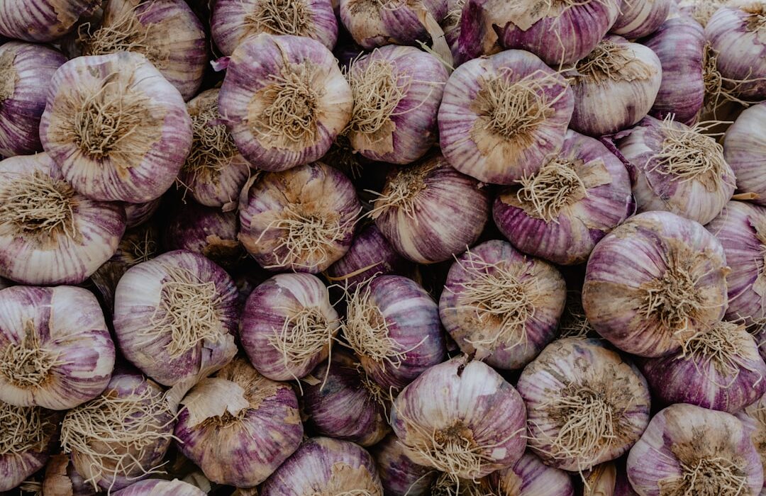 How to Plant, Grow, and Care for Onions