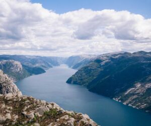 How to Plant, Grow, and Care for Pear Trees