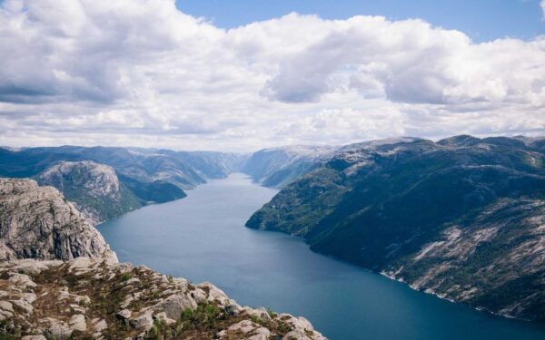 How to Plant, Grow, and Care for Pear Trees