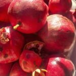 How to Plant, Grow, and Care for Pomegranate Trees