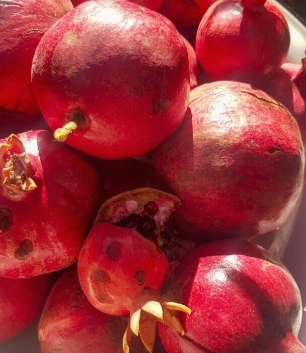 How to Plant, Grow, and Care for Pomegranate Trees