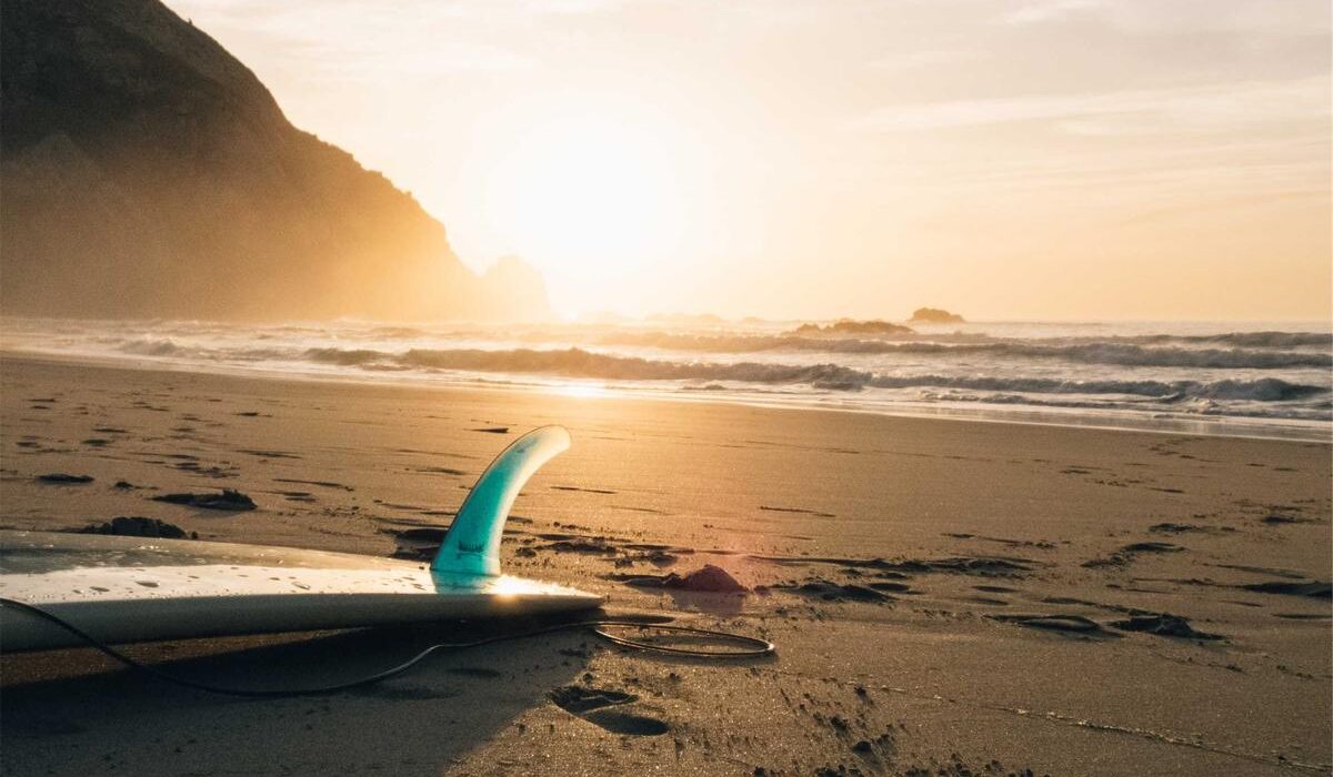 How to Plant, Grow, and Care for Sweet Potato Vine