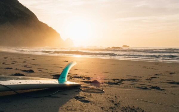 How to Plant, Grow, and Care for Sweet Potato Vine