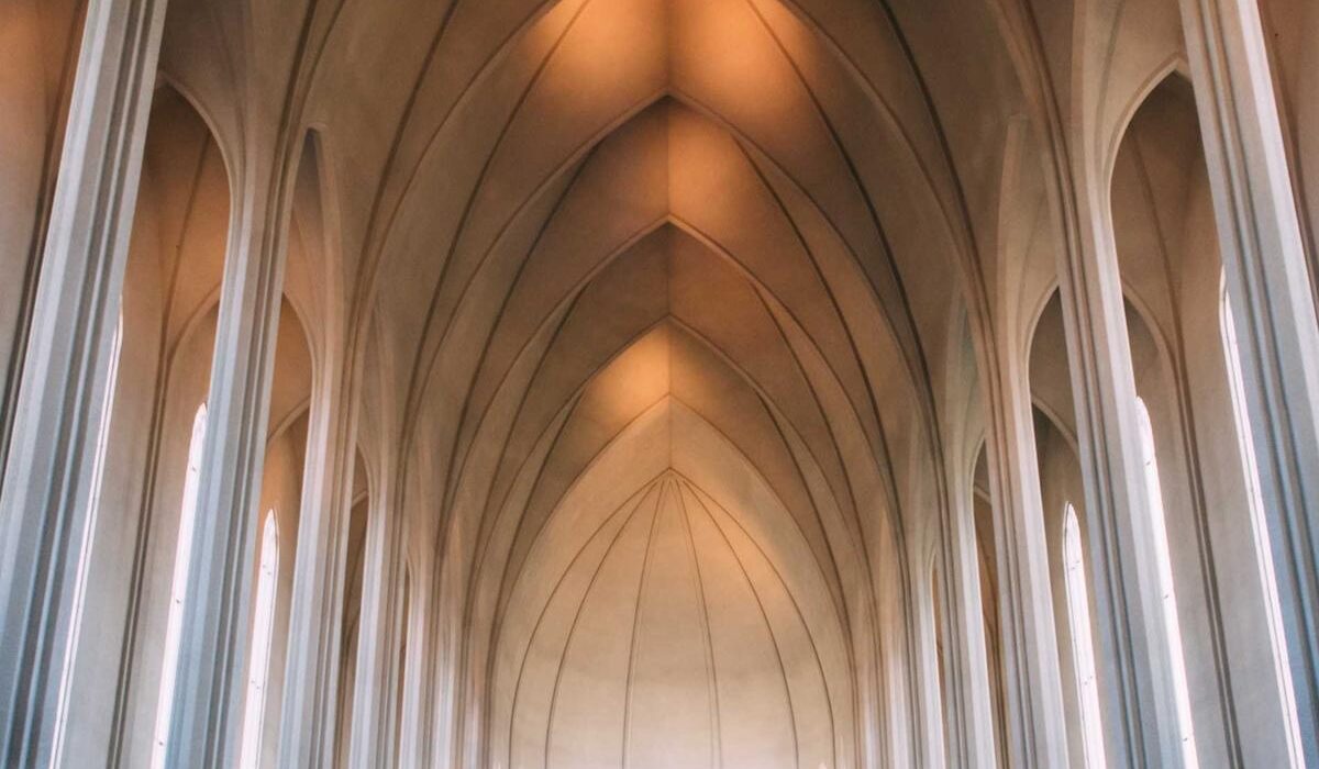 How to Plant, Grow, and Care for ZZ Plants