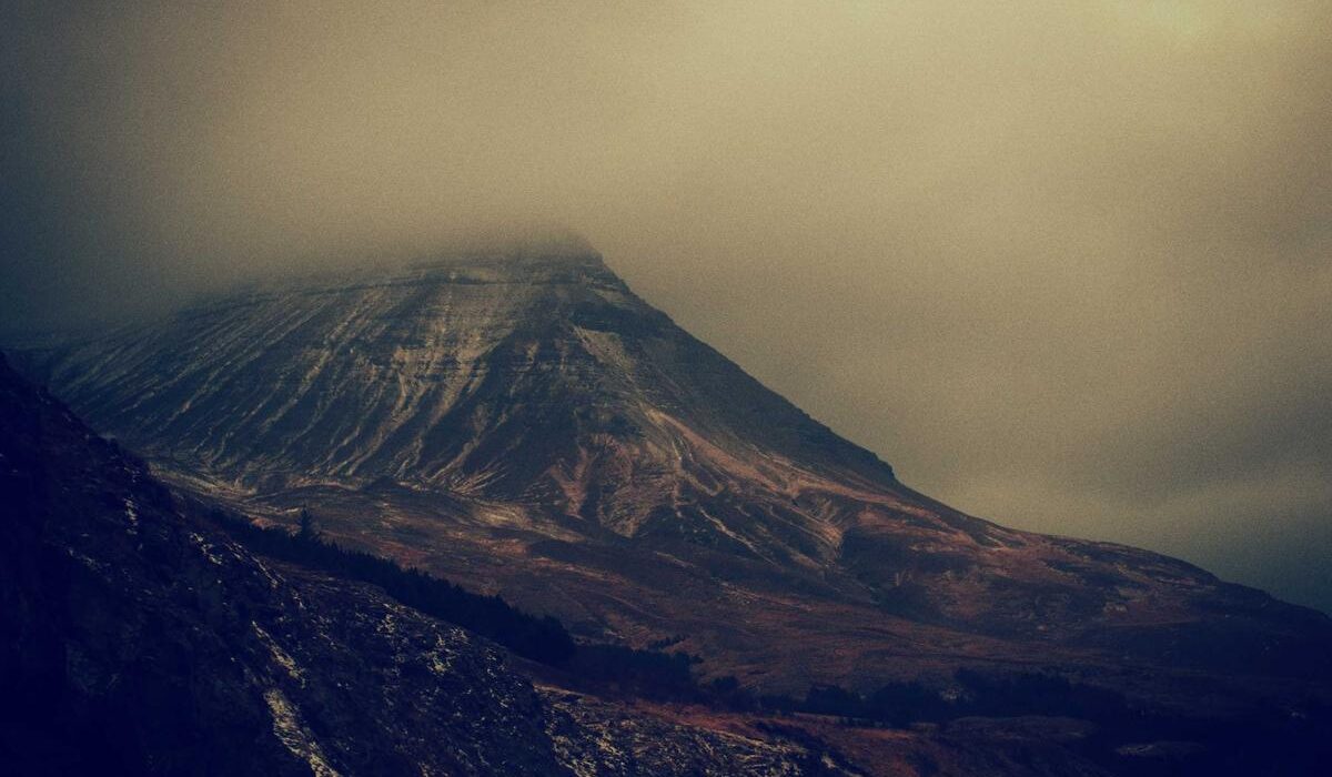 How to Prune Fruit Trees for Maximum Production