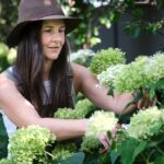 How to Prune Shrubs: Timing, Techniques, and Tools