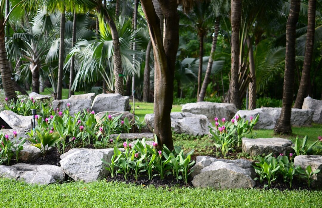 How to Replace Lawn with Ground Cover Plants