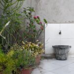 How to Set Up Self-Watering Systems for Houseplants