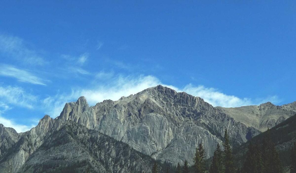 How to Store Garden Produce: Extending Your Harvest