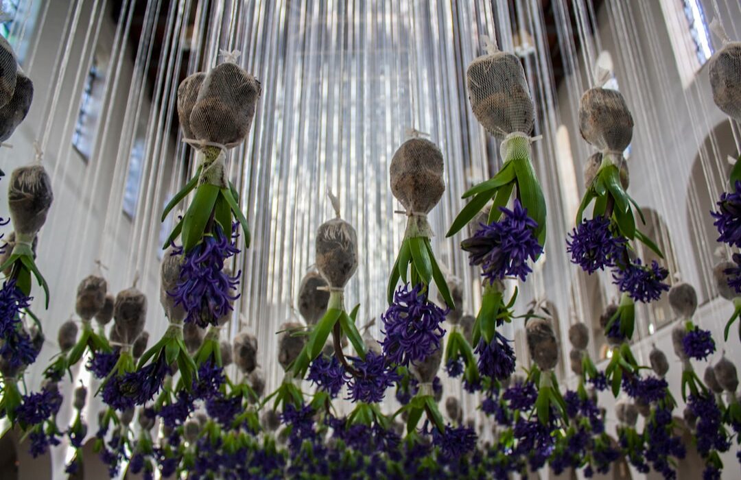 How to Store Tender Bulbs Over Winter