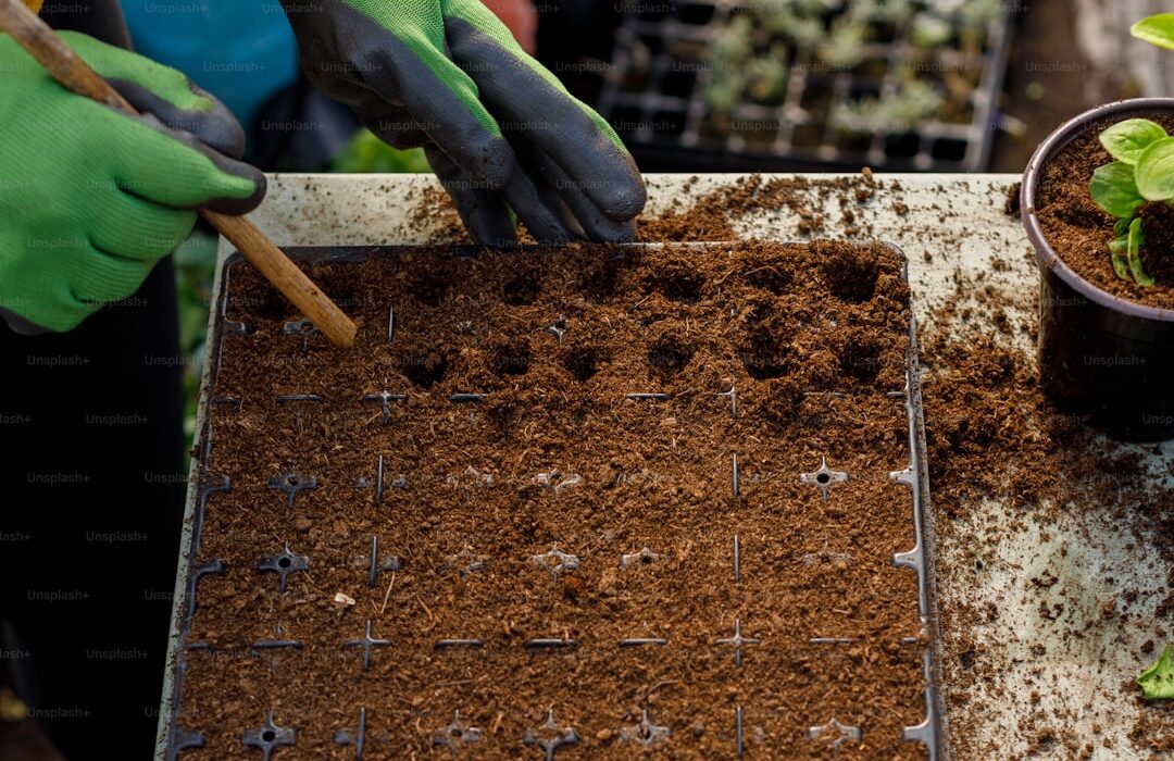 How to Test Your Garden Soil: pH, Nutrients, and Texture Guide