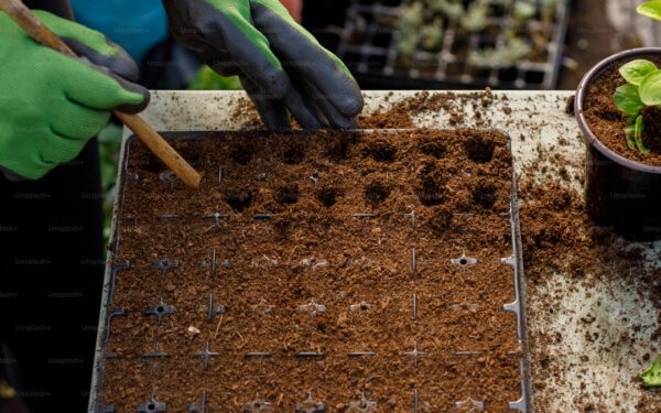 How to Test Your Garden Soil: pH, Nutrients, and Texture Guide