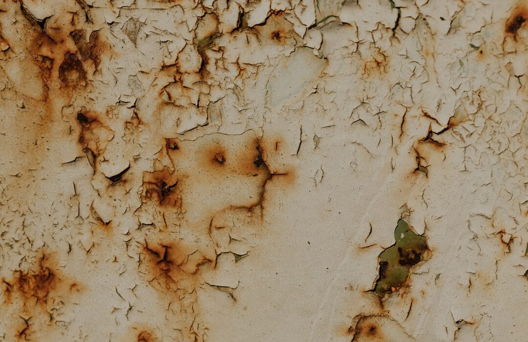 Identifying Common Plant Diseases: Visual Guide with Photos