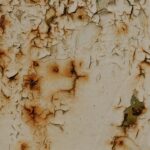 Identifying Common Plant Diseases: Visual Guide with Photos