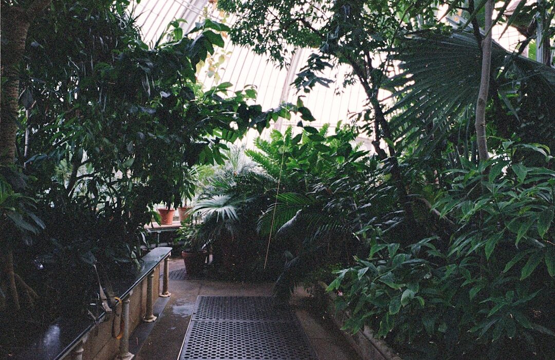 Indoor Accessible Garden Ideas for Small Spaces