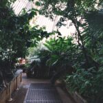 Indoor Accessible Garden Ideas for Small Spaces