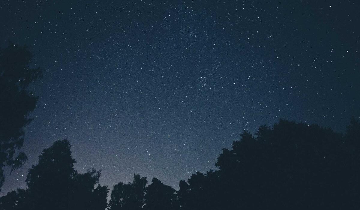 Indoor Herb Garden Setup: From Windowsill to Countertop