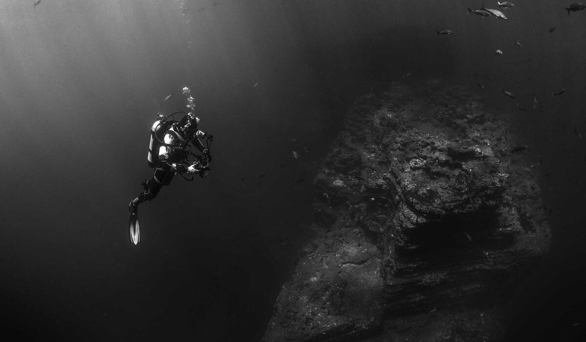 Lily Bulbs: Growing Asiatic, Oriental, and Trumpet Lilies