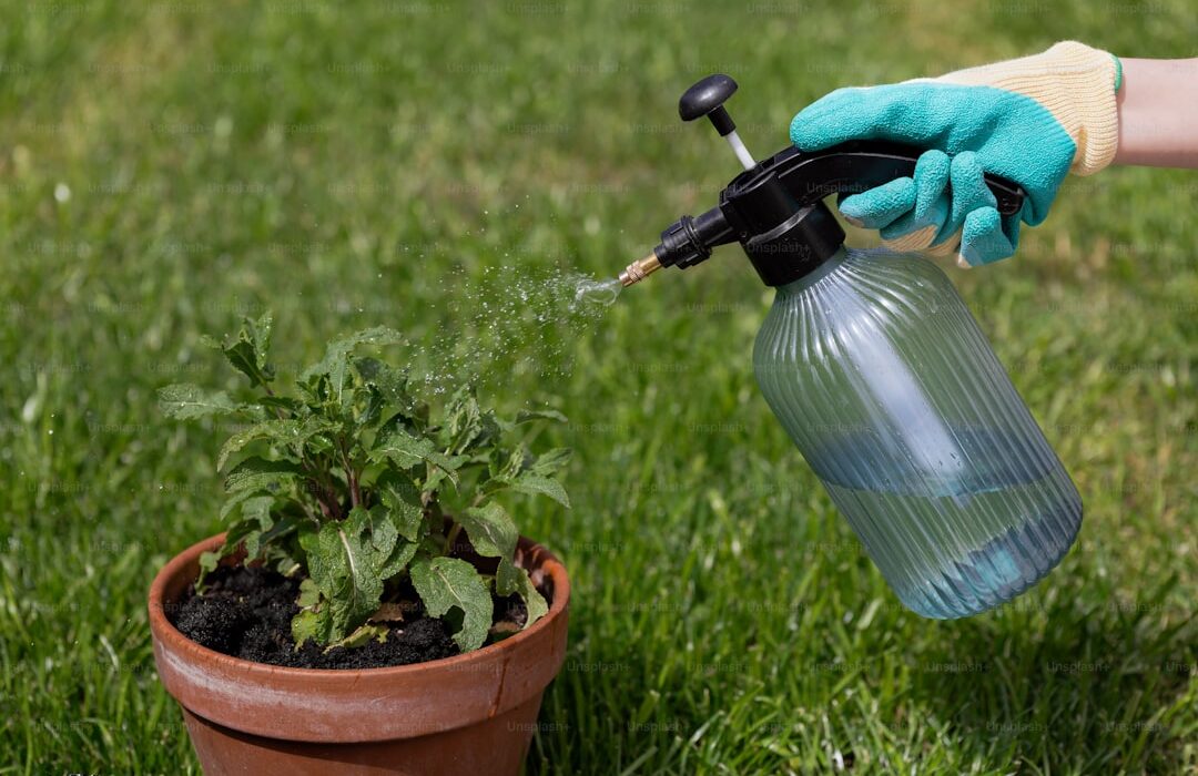 Managing Invasive Plants in Your Garden and Landscape