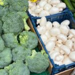 Microgreen Business: How to Start Selling Microgreens