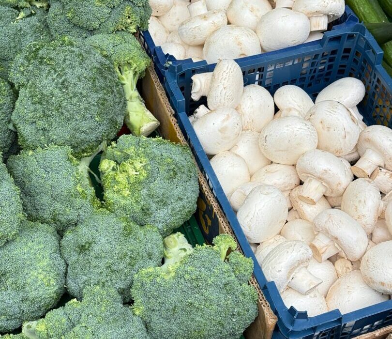 Microgreen Business: How to Start Selling Microgreens