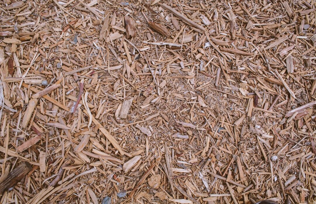 Mulching for Weed Control: The Best Materials and Methods